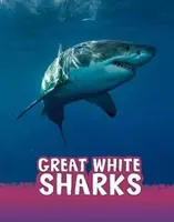 Weiße Haie - Great White Sharks