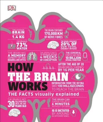 Wie das Gehirn funktioniert: Die Fakten visuell erklärt - How the Brain Works: The Facts Visually Explained