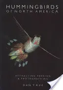 Kolibris in Nordamerika: Anlocken, Füttern und Fotografieren - Hummingbirds of North America: Attracting, Feeding, and Photographing