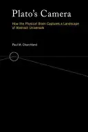 Plato's Kamera: Wie das physische Gehirn eine Landschaft von abstrakten Universalien einfängt - Plato's Camera: How the Physical Brain Captures a Landscape of Abstract Universals