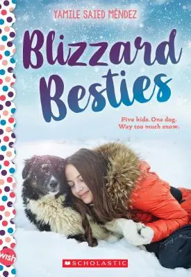 Blizzard Besties: Ein Wunsch-Roman - Blizzard Besties: A Wish Novel