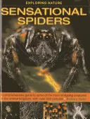 Die Natur erforschen: Sensationelle Spinnen: Ein umfassender Leitfaden zu einigen der faszinierendsten Kreaturen des Tierreichs, mit über 220 Bildern - Exploring Nature: Sensational Spiders: A Comprehensive Guide to Some of the Most Intriguing Creatures in the Animal Kingdom, with Over 220 Pictures