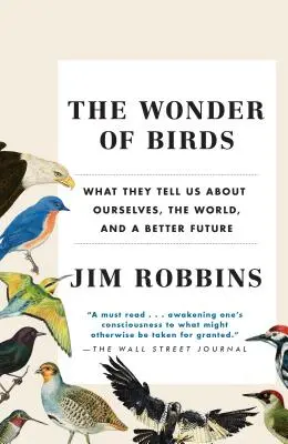 Das Wunder der Vögel: Was sie uns über uns selbst, die Welt und eine bessere Zukunft verraten - The Wonder of Birds: What They Tell Us about Ourselves, the World, and a Better Future