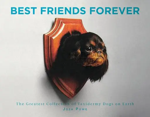 Beste Freunde für immer: Die größte Sammlung von Hundetaxidermie der Welt - Best Friends Forever: The Greatest Collection of Taxidermy Dogs on Earth