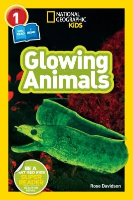 National Geographic Readers: Glühende Tiere (L1/Co-Reader) - National Geographic Readers: Glowing Animals (L1/Co-Reader)