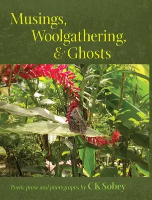 Grübeleien, Wollsammlungen und Gespenster: Poetische und visuelle Darbietungen aus meinem Leben für Sie - Musings, Woolgathering, & Ghosts: Poetic and Visual Offerings from My Life to Yours