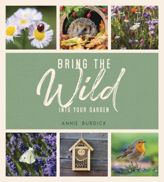 Bringen Sie die Wildnis in Ihren Garten - Einfache Tipps für die Schaffung eines Wildnisgebietes - Bring the Wild into Your Garden - Simple Tips for Creating a Wildlife Haven