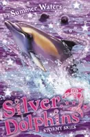 Stürmischer Himmel (Silberne Delphine, Buch 8) - Stormy Skies (Silver Dolphins, Book 8)