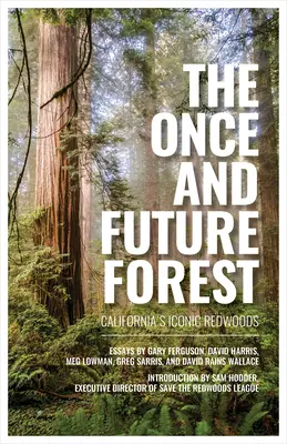 Der Wald von einst und jetzt: Kaliforniens ikonische Redwoods - The Once and Future Forest: California's Iconic Redwoods