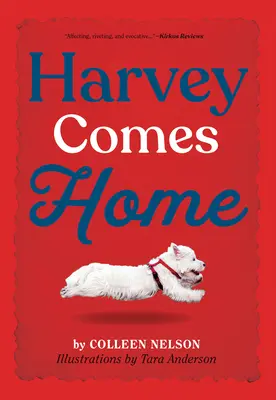 Harvey kommt nach Hause - Harvey Comes Home