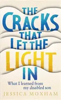 Risse, die das Licht hereinlassen - Was ich von meinem behinderten Sohn gelernt habe - Cracks that Let the Light In - What I learned from my disabled son