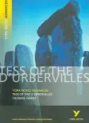Tess of the D'Urbervilles: York Notes Advanced - alles, was Sie zum Aufholen, Lernen und zur Vorbereitung auf die Prüfungen 2021 und 2022 brauchen - Tess of the D'Urbervilles: York Notes Advanced - everything you need to catch up, study and prepare for 2021 assessments and 2022 exams