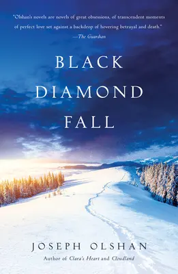 Schwarzer Diamant Fall - Black Diamond Fall