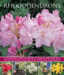 Rhododendren: Ein illustrierter Leitfaden zu Sorten, Anbau und Pflege, mit Schritt-für-Schritt-Anleitungen und über 135 schönen Fotos - Rhododendrons: An Illustrated Guide to Varieties, Cultivation and Care, with Step-By-Step Instructions and Over 135 Beautiful Photogr