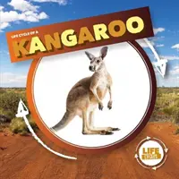 Känguru - Kangaroo