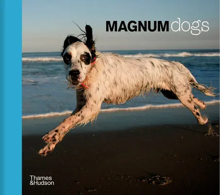 Magnum-Hunde - Magnum Dogs