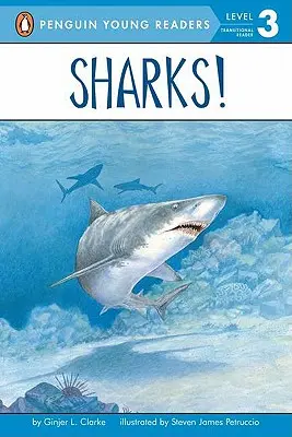 Haie! - Sharks!