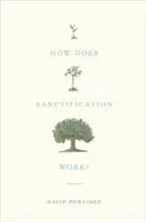 Wie funktioniert Heiligung? - How Does Sanctification Work?