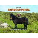 Der Geist der Dartmoor-Ponys - Spirit of Dartmoor Ponies