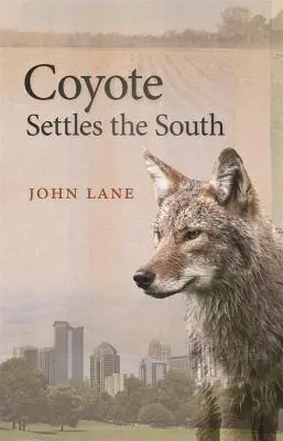 Kojote besiedelt den Süden - Coyote Settles the South
