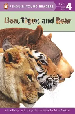 Löwe, Tiger und Bär - Lion, Tiger, and Bear