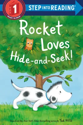 Rakete liebt das Versteckspiel! - Rocket Loves Hide-And-Seek!