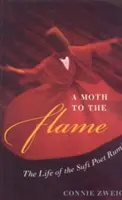 Die Motte in der Flamme: Das Leben des Sufi-Dichters Rumi - A Moth to the Flame: The Life of the Sufi Poet Rumi