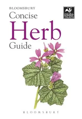 Kurzer Kräuterführer - Concise Herb Guide