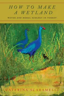 Wie man ein Feuchtgebiet schafft: Wasser und moralische Ökologie in der Türkei - How to Make a Wetland: Water and Moral Ecology in Turkey