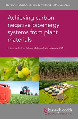 Kohlenstoffnegative Bioenergiesysteme aus Pflanzenmaterial - Achieving Carbon-Negative Bioenergy Systems from Plant Materials