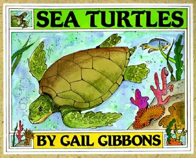 Seeschildkröten - Sea Turtles