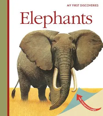 Elefanten - Elephants