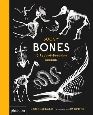 Buch der Knochen: 10 rekordverdächtige Tiere - Book of Bones: 10 Record-Breaking Animals