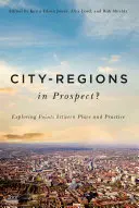 Stadtregionen in Aussicht? Erkundung der Berührungspunkte zwischen Ort und Praxis - City-Regions in Prospect?: Exploring the Meeting Points Between Place and Practice