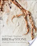 Vögel aus Stein: Chinesische Vogelfossilien aus dem Zeitalter der Dinosaurier - Birds of Stone: Chinese Avian Fossils from the Age of Dinosaurs