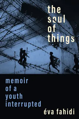 Die Seele der Dinge: Erinnerungen an eine unterbrochene Jugend - The Soul of Things: Memoir of a Youth Interrupted