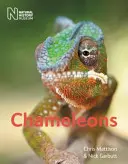 Chamäleons - Chameleons