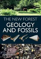 New Forest - Geologie und Fossilien - New Forest - Geology and Fossils