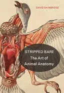 Nackte Tatsachen: Die Kunst der Tieranatomie - Stripped Bare: The Art of Animal Anatomy