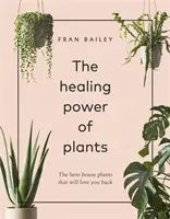 Die heilende Kraft der Pflanzen - Der Held unter den Zimmerpflanzen, der dich zurückliebt - Healing Power of Plants - The Hero House Plants that Love You Back