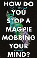 Wie stoppt man eine Elster, die den Verstand mobbt? - How Do you Stop a Magpie Mobbing Your Mind?