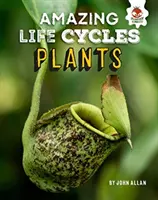 Pflanzen - Erstaunliche Lebenszyklen - Plants - Amazing Life Cycles