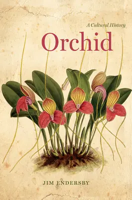 Orchidee: Eine Kulturgeschichte - Orchid: A Cultural History