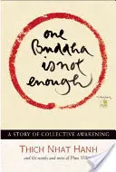 Ein Buddha ist nicht genug: Eine Geschichte des kollektiven Erwachens - One Buddha Is Not Enough: A Story of Collective Awakening