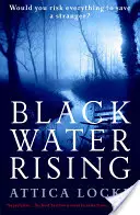 Schwarzes Wasser steigt auf - Black Water Rising