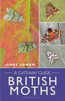 Britische Nachtfalter: Ein Gateway-Führer - British Moths: A Gateway Guide