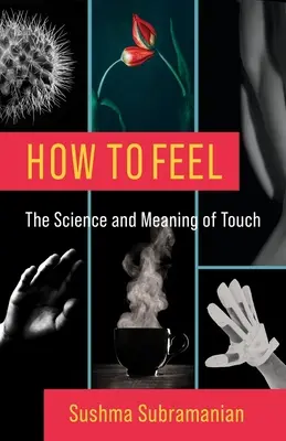 Wie man fühlt: Die Wissenschaft und Bedeutung der Berührung - How to Feel: The Science and Meaning of Touch