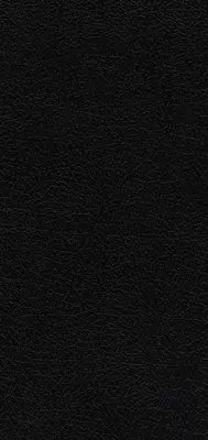 Niv, Pocket Thinline Bibel, Gebundenes Leder, Schwarz, Rote Schrift, Komfortdruck - Niv, Pocket Thinline Bible, Bonded Leather, Black, Red Letter, Comfort Print