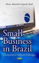 Kleine Unternehmen in Brasilien - Globale Herausforderungen im Wettbewerb - Small Business in Brazil - Competitive Global Challenges