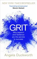 Grit - Warum Leidenschaft und Widerstandsfähigkeit die Geheimnisse des Erfolgs sind - Grit - Why passion and resilience are the secrets to success